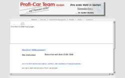 Profi-Car-Team GmbH