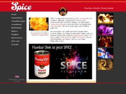 SPiCE Feuershow und Feuerwerk