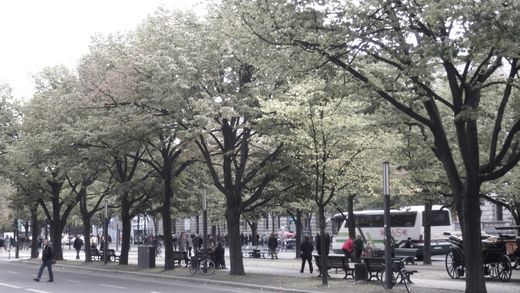 Berlin Unter den Linden